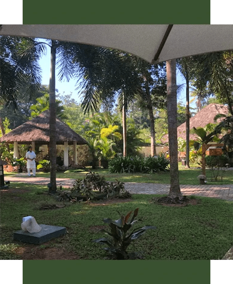 AJURWEDYJSKIE ZABIEGI W KERALI - Orientana