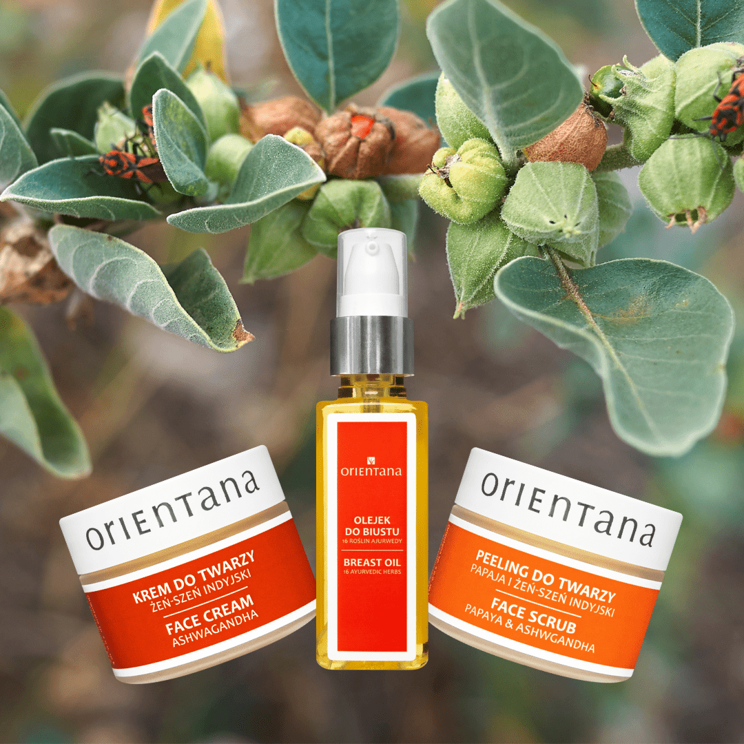 Ashwagandha co to ? - Orientana