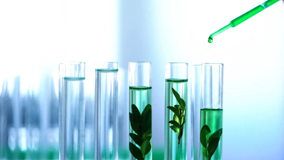 Biotechnologia w kosmetykach - rewolucja w pielęgnacji skóry