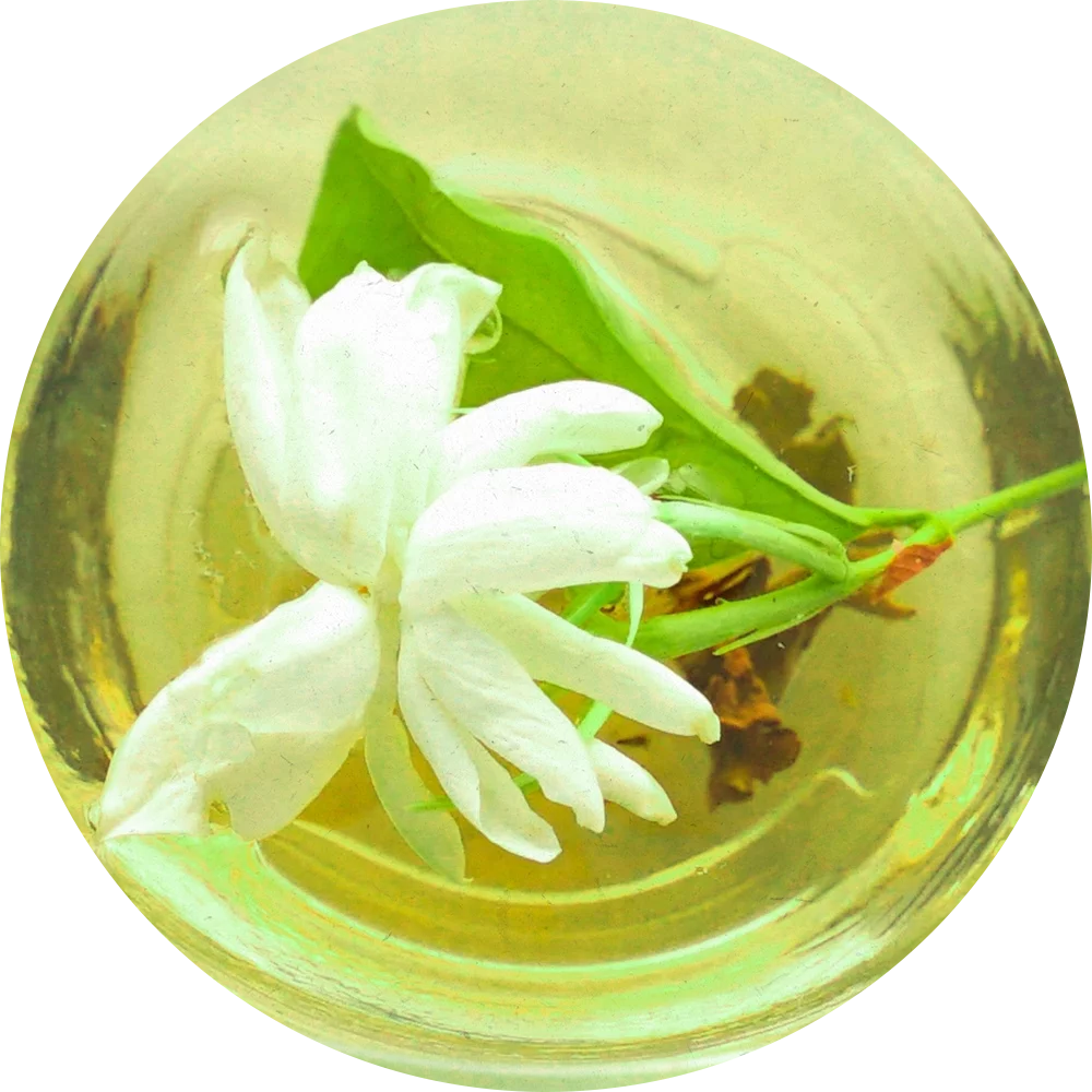 Orientana