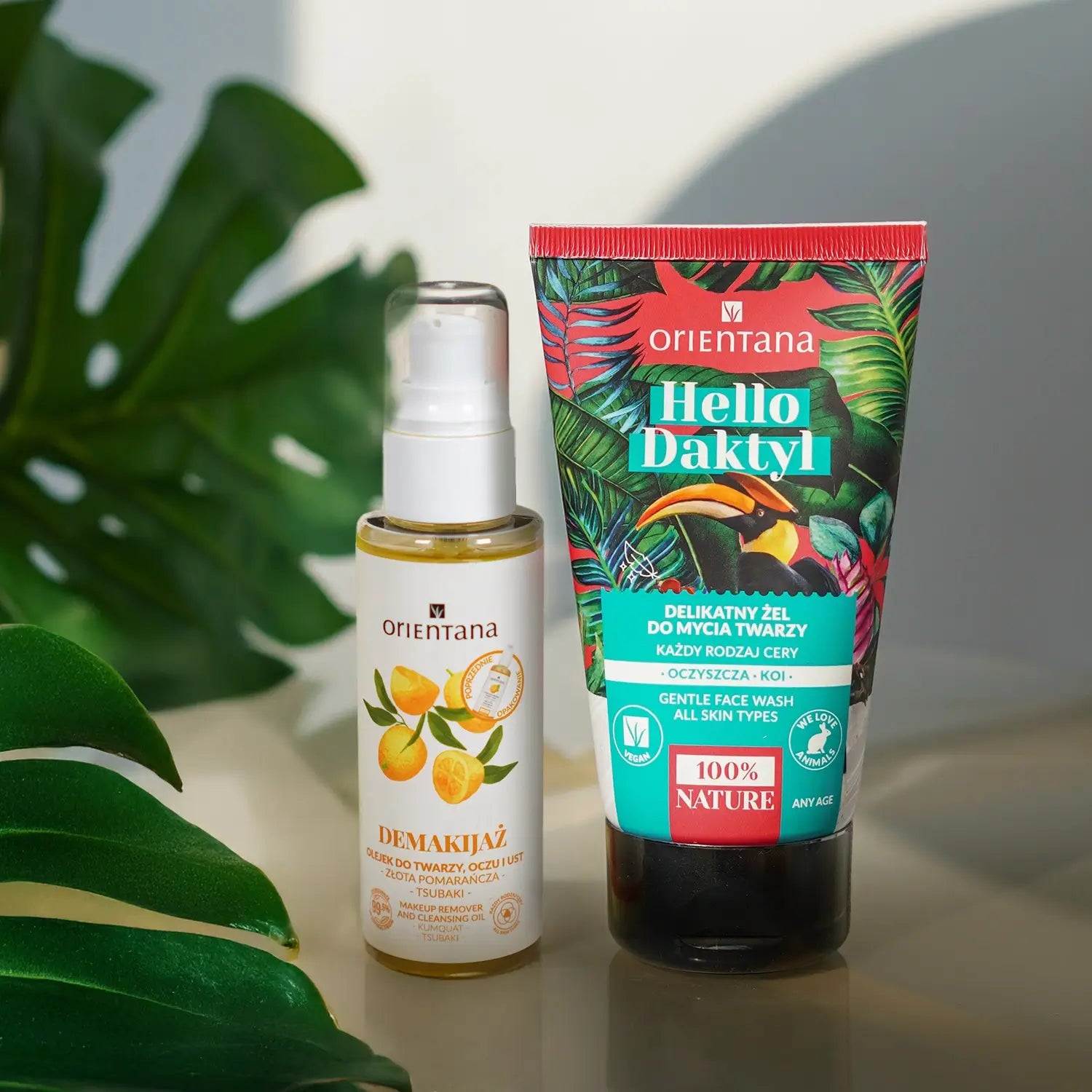 Cleansing Set II – 2 products