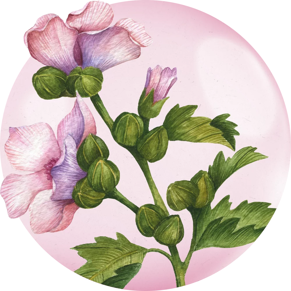 Orientana