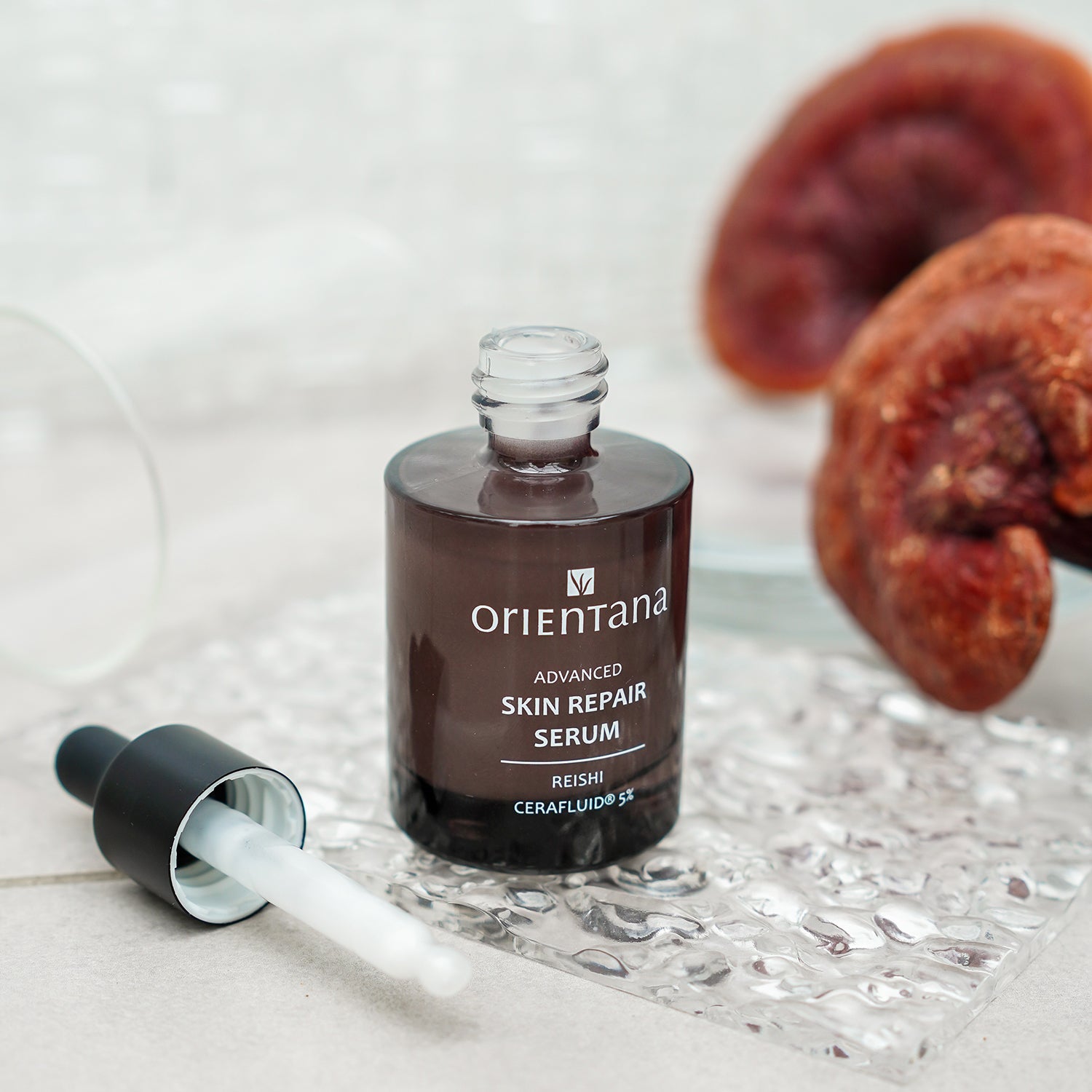 Serum z ceramidami CERAFLUID® 5% i REISHI 30 ml - Orientana