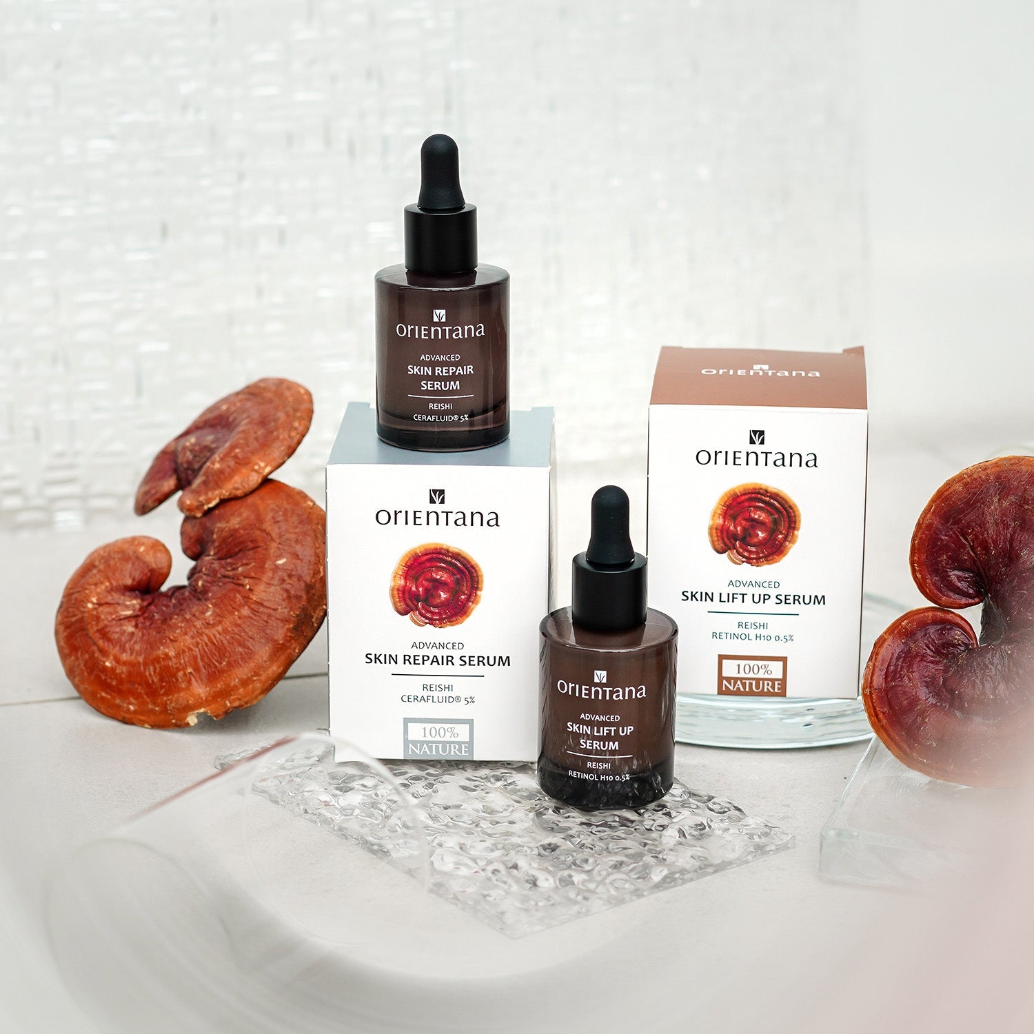 Serum z ceramidami CERAFLUID® 5% i REISHI 30 ml - Orientana