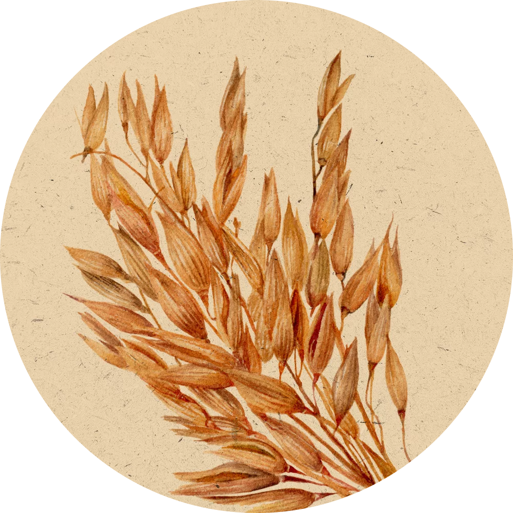 Orientana